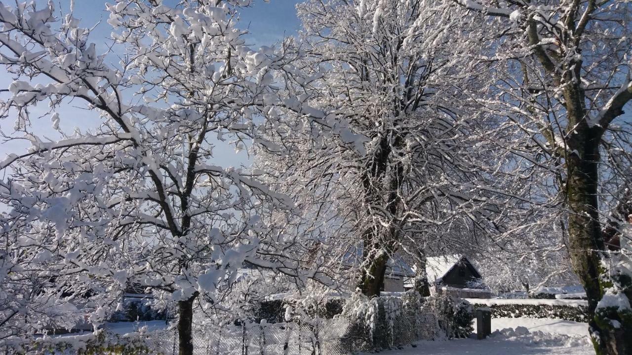 House Nenad Hotel Plitvička Jezera Kültér fotó